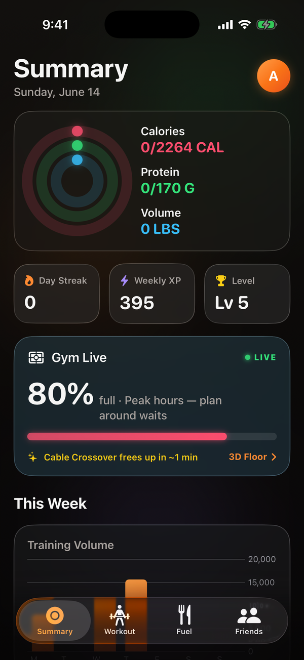 OPT(ML) Summary screen: triple activity rings for calories, protein and volume with streak, weekly XP and level.